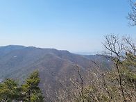 12기 겨울숲다시보기(3월..