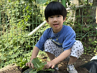 &#129388;텃밭 활동 -..