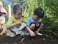 🌱텃밭활동 -..