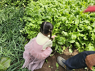 &#129388; 열..