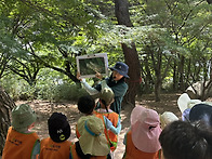 🌳 9월..