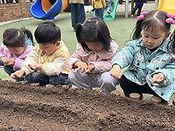🌱텃밭활동 - ..