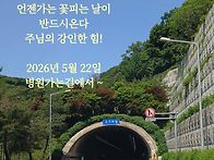 병원 진료 다녀와서
