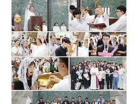 545/견진성사 8월15일(성..