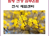 바이오 세라믹 근적외선 ..