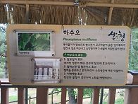 경남 산청 왕산 산행사진