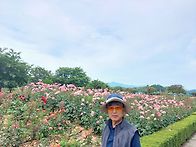 삼척 장미공원 탐방 및 이..