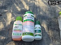 담배나방 ㆍ 총체 농약에 반드시 전착제 뿌..