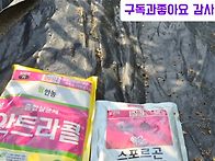 탄저예방과 치료제 점박이병 7월방제