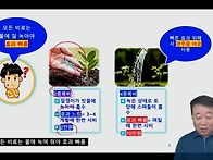 모종 육묘 21복비 수용성 만들기