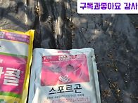 탄저예방과 치료제 점박이병 7월방제