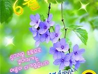 ┍‥♣♧‥━━━..
