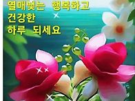 🍒 값..