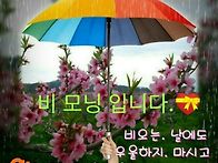 &#9748;비는 ..