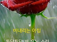 ☔비 오..