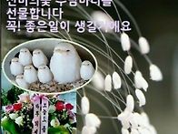 🌺이 ..