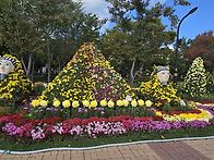 25년도 11월2일(..