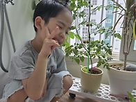 섬초롱반 채승우 방울 토마..