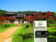병산서원 배롱나무