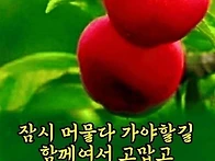 5월28일 목요일 오늘의 책..