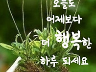 5월23일 금요일 오늘의 책..