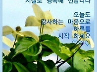 10월4일 금요일 오늘의 책..