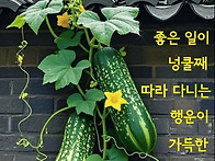 6월2일 화요일 오늘의 책..