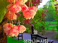 5월11일 일요일 오늘의 책..