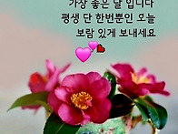 5월31일 일요일 오늘의 책..
