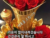 11월23일 토요일 오늘의 ..