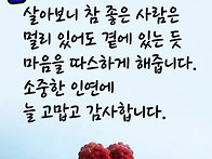 9월4일 금요일 오늘의 책..