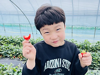 🍓딸기밭 생태체험🍓