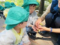 숲 활동- 토끼풀 장신구,..
