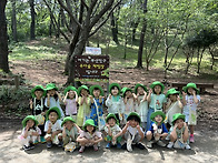 🌳 7월 숲체험 ..