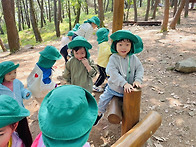 숲 활동- 토끼풀 장신구,..