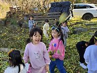 11월16일 일요일