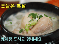 오늘은복날입니다