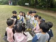 숲체험활동&#127800;