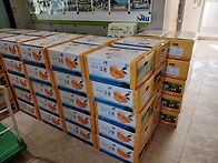 소안도 노지귤 판매합니다