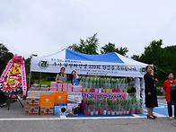 『추사 김정희선생..
