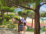 매주 수요일 전도합니다