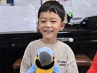 앵무새(퍼포먼스)