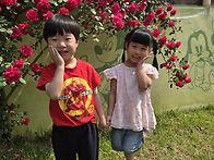 장미꽃이 활짝 &..
