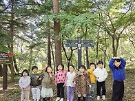 남산 숲 체험 (가..