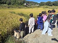 가을들판 산책