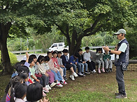 남산 숲체험&#9968;&#65039;&#9968;&#65039;