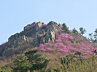 제141차 2026년4월12일(일)주작산(429...