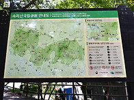 2026년7월 26일 일요일 충..