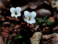 거금도 적대봉 섬 산행