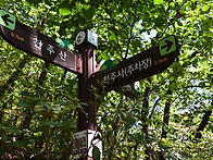 경북 문경 천주산(天柱山)..